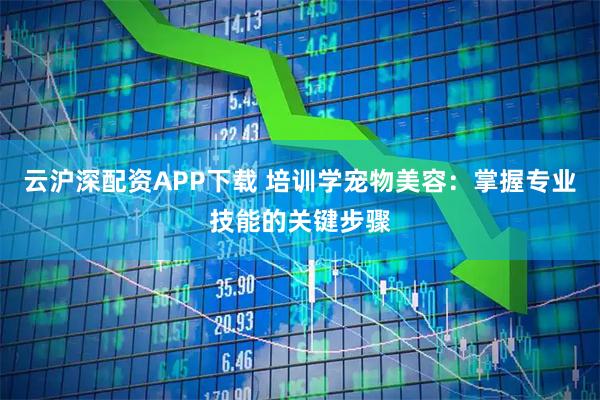 云沪深配资APP下载 培训学宠物美容：掌握专业技能的关键步骤